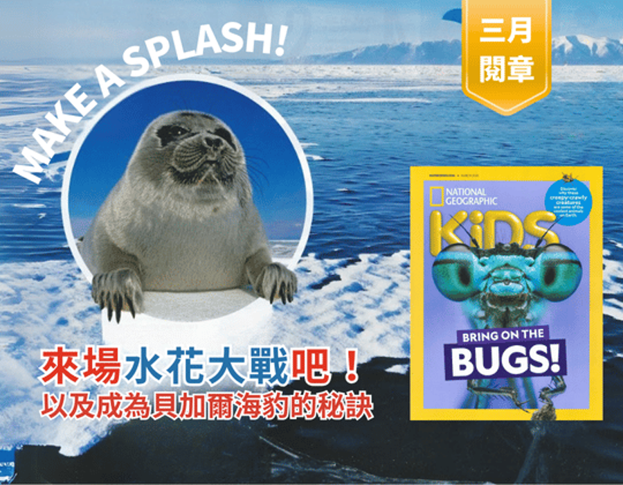 來場水花大戰吧！ 以及成為貝加爾海豹的秘訣